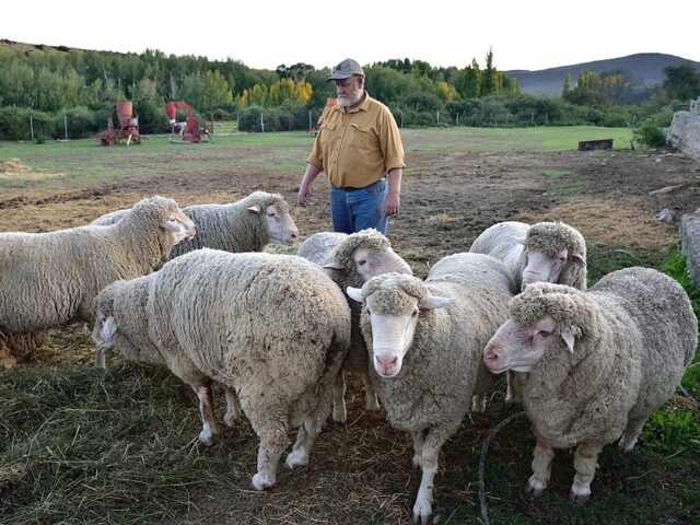 Afrikaner farm (Wikimedia Commons)