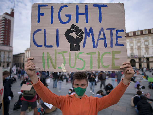 A boy wearing a protective mask holds a sign during a protest as part of the Fridays for F