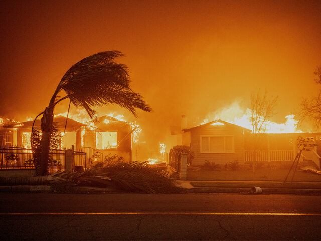 Trees sway in high winds as the Eaton Fire burns structures Wednesday, Jan. 8, 2025 in Alt