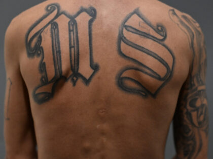 MS-13 Gang Tatoo