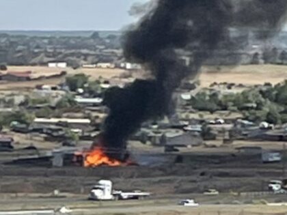 Pilot killed after crashing plane