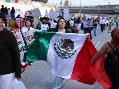 A protester holds a Mexican flag as they block the Santa Ana Freeway during a demonstratio